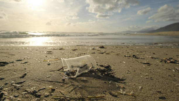 废旧塑料杯丢弃在海边生态系统，污染自然图片下载