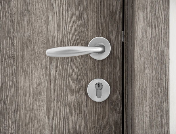 白色门的细节与铬手柄元素，公寓内部的一部分图片下载