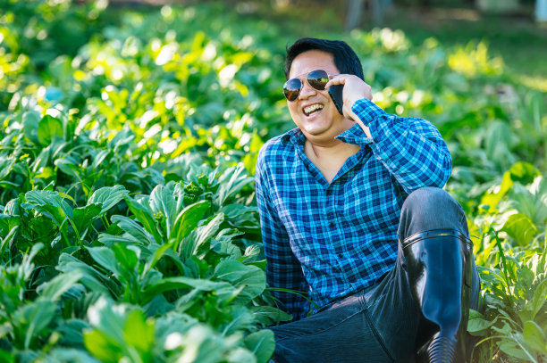 亚洲农民在田里用智能手机说话的肖像。农业商业、技术、传播和生活方式概念。图片下载