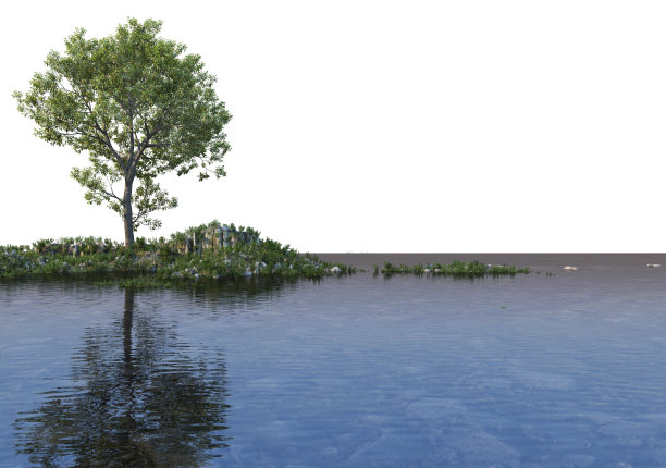 在白色背景上3D渲染湖边的大树图片下载