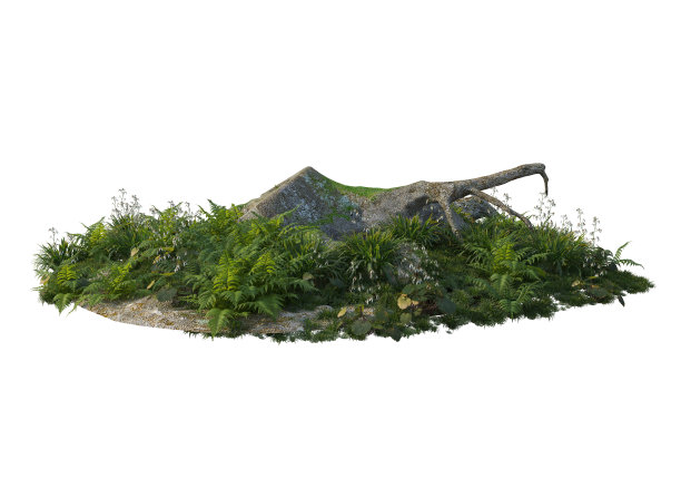 三维渲染花园与树桩和老植物在白色背景图片下载