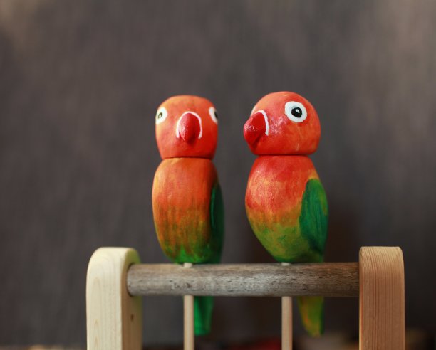 一对有趣的鹦鹉情侣图片下载