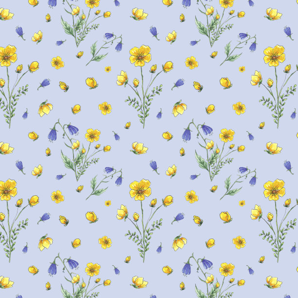 水彩无缝图案野花钟花，蓝色背景洋甘菊，手绘植物风格，适合度假、婚礼设计。数码纸包装装饰包装，卡片，杯子图片下载