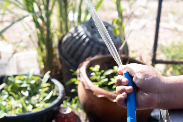 水从溪流中流过，自然背景图片下载