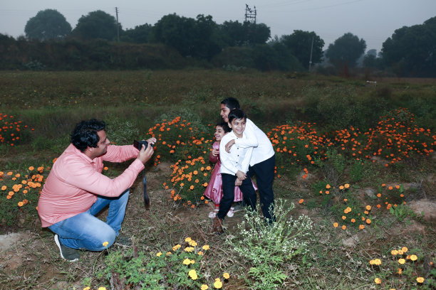父亲在户外花田用数码相机拍摄孩子们的照片图片下载