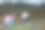 父亲在户外花田用数码相机拍摄孩子们的照片图片下载