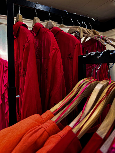 衣服挂，时尚，排列，贴身图片下载