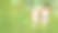 年轻女孩在夏日花园的躺椅上放松，女性朋友周末在绿色公园的户外玩耍，从空中俯瞰图片下载
