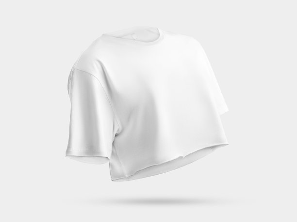 白色t恤模型与裁剪底部，3D渲染前，侧视图，女性露脐上衣，为设计，广告。图片下载