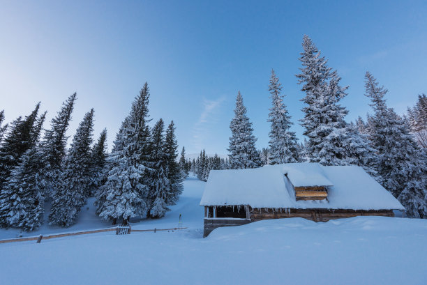 有树木和木屋的冬季景观。图片下载