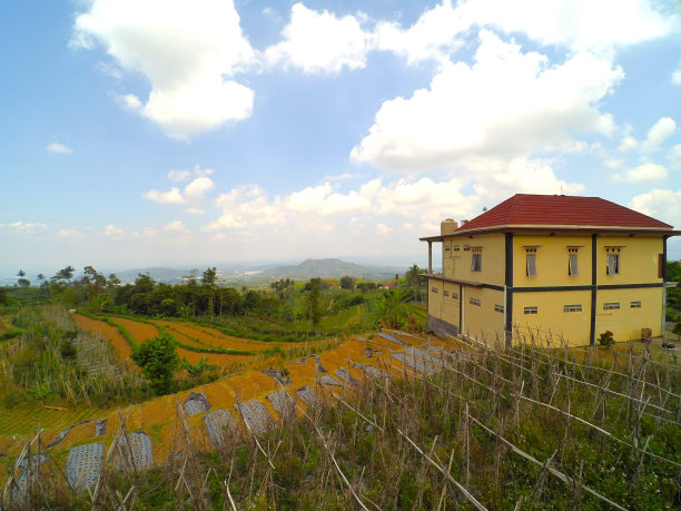 印尼三宝垄的梯田图片下载