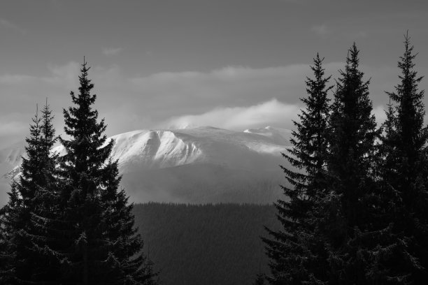 引人注目的冬季山地景观。白雪覆盖的朦胧的山峰和山丘。黑白照片。自然概念背景。图片下载