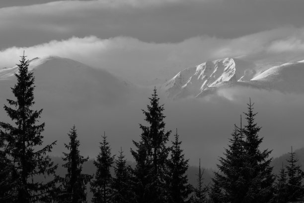 引人注目的冬季山地景观。白雪覆盖的朦胧的山峰和山丘。黑白照片。自然概念背景。图片下载