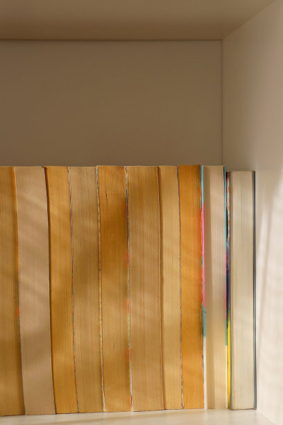 最小的书架图片下载