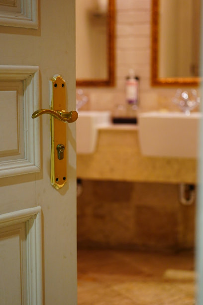 经典的金色把手白色门图片下载