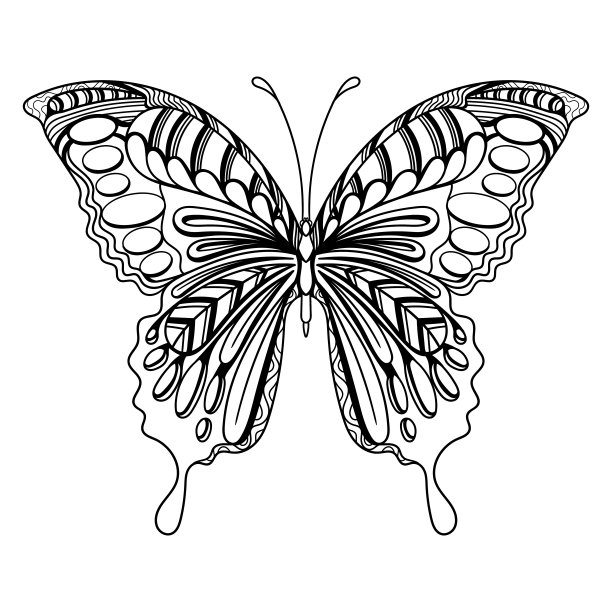 蝴蝶艺术曼陀罗着色页插图图片下载