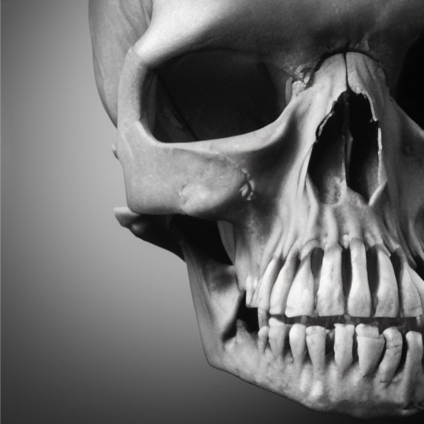 人类头骨的一部分。黑暗锐利的阴影。图片下载