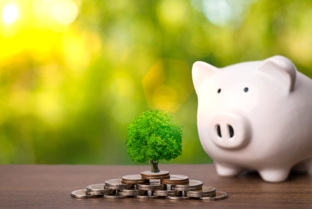 一棵树正有序地生长在一堆硬币上。投资理念，储蓄，企业账户。明亮的散景背景。图片下载