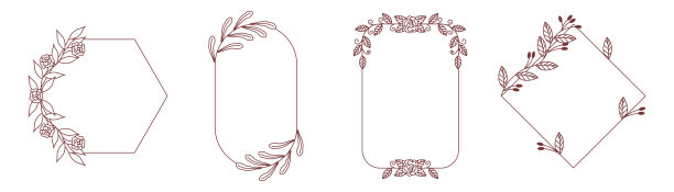 花卉框架，优雅的线性边界与花和叶子孤立在白色背景。装饰元素图片下载