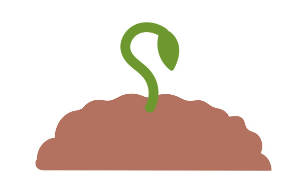 种植在肥沃的土壤中图片下载