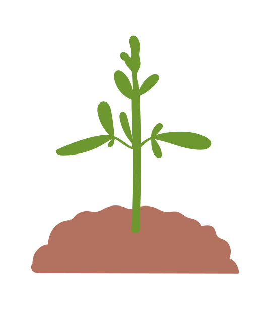 种植在肥沃的土壤中图片下载