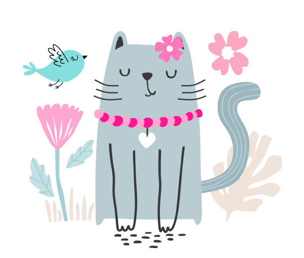 可爱的花猫。可爱的小猫孤立在白色。图片下载