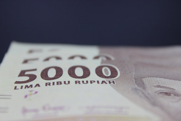 一张黑色背景的五千卢比纸币。图片下载