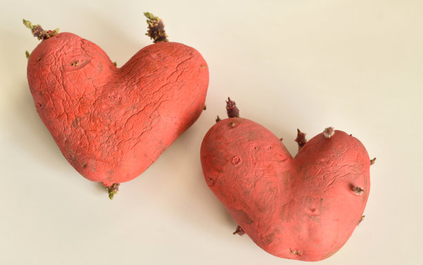 象征着相爱的老人的心在白色上。图片下载