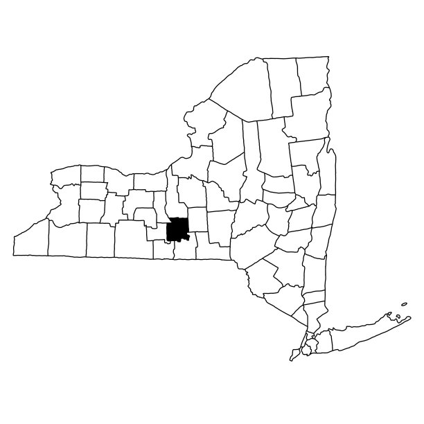纽约州汤普金斯县的白色背景地图。纽约地图上的单个县用黑色突出显示。图片下载