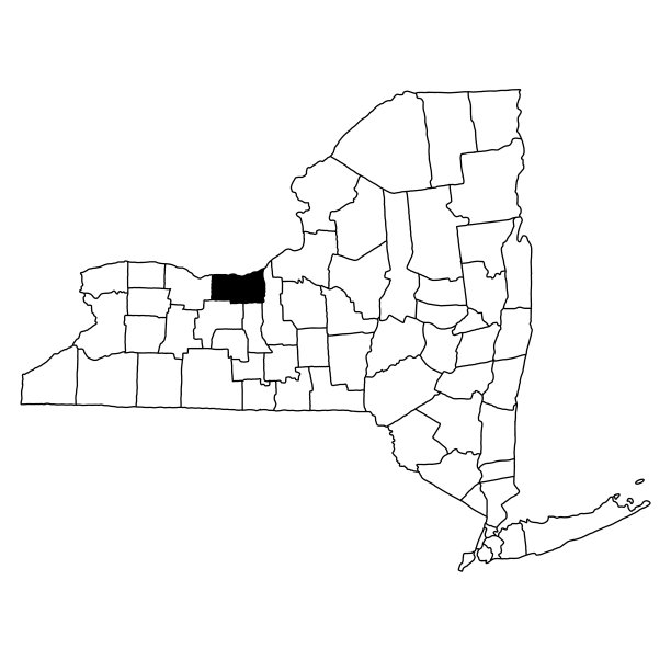 纽约州韦恩县的白色背景地图。纽约地图上的单个县用黑色突出显示。图片下载