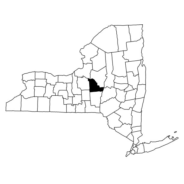 纽约州麦迪逊县的白色背景地图。纽约地图上的单个县用黑色突出显示。图片下载
