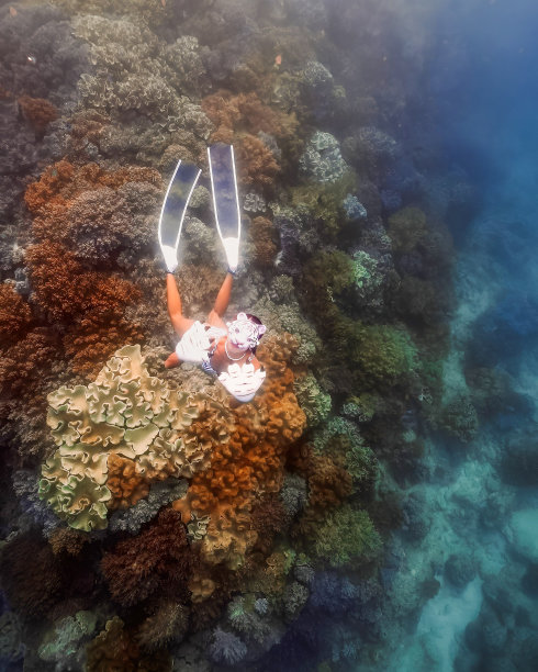 安达曼海下的冒险-18图片下载