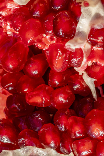 石榴片的特写图片下载