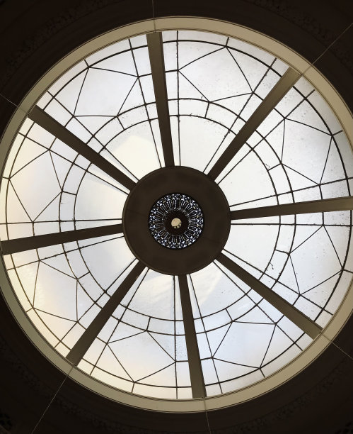 莉莉的螺旋图片下载