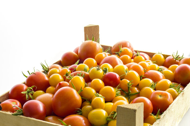 新鲜的圣女果装在木箱里，白色背景。图片下载