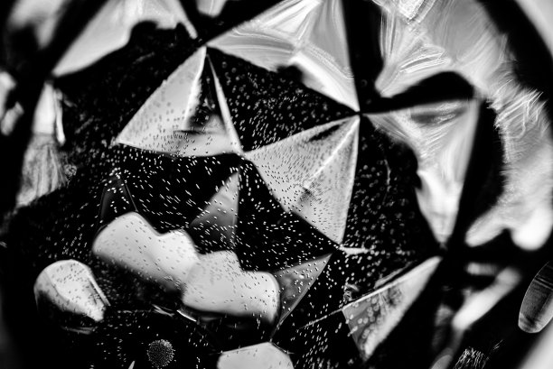 黑白特写镜头下的一杯酒图片下载