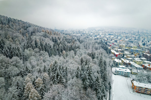 Aerial view over snow covered north part City of Zürich with skyline and gray cloudy winter sky on a snowy late autumn day.图片下载
