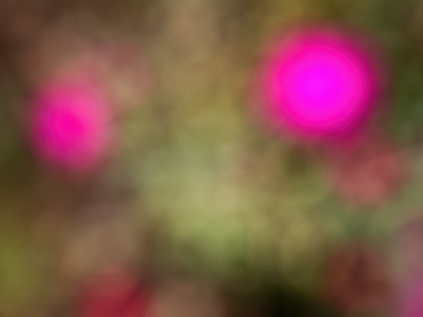 抽象的彩色背景从一个不聚焦的摄影自然环境图片下载