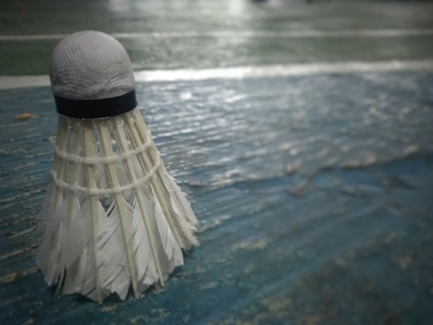 羽毛球在羽毛球场的边线上图片下载