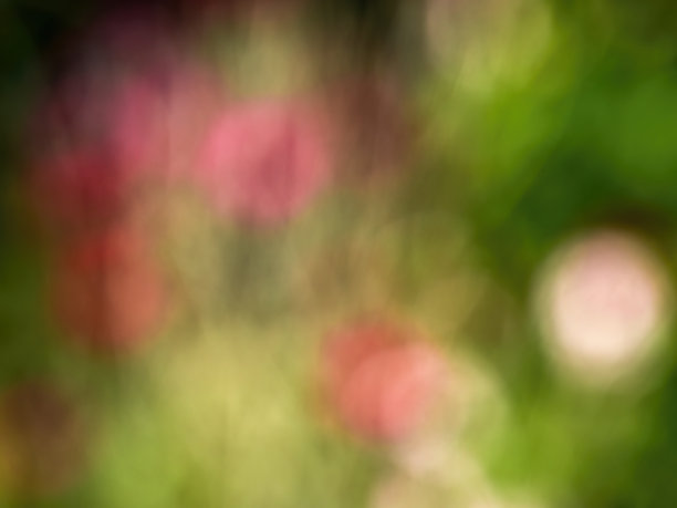 抽象的彩色背景从一个不聚焦的摄影自然环境图片下载