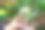 买家手里拿着仙人掌的罐子特写图片下载