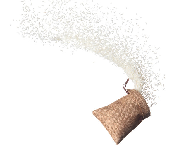 日本稻谷在麻袋里炸飞，白色的稻谷落抽象飞。美丽完整的稻种袋在空中飞溅，食物对象设计。白色背景隔离，高速冻结运动图片下载
