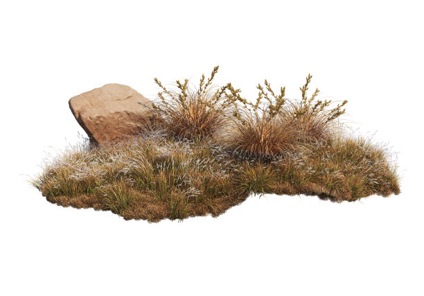 三维渲染石头和草在白色背景上图片下载