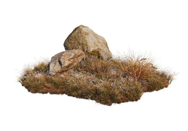 三维渲染石头和草在白色背景上图片下载