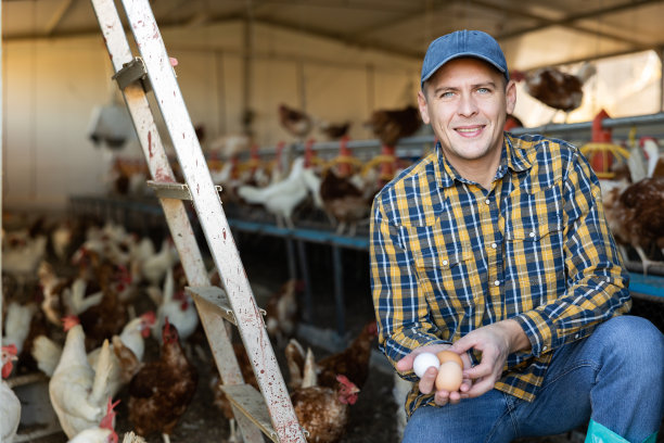 年轻的欧洲男性农民在鸡笼里采摘新鲜的鸡蛋图片下载
