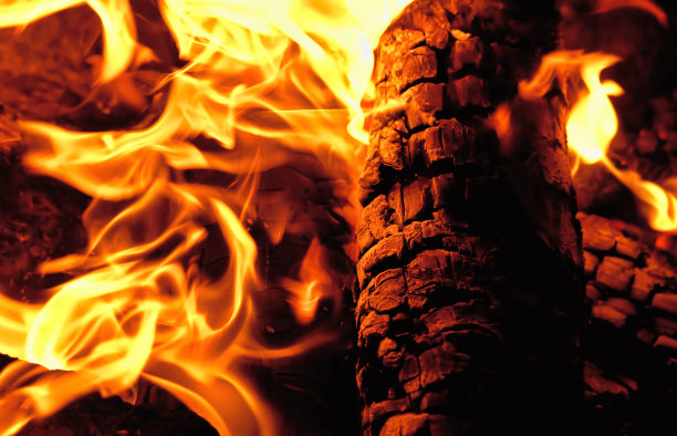 橙色和黄色的火围绕着木头图片下载