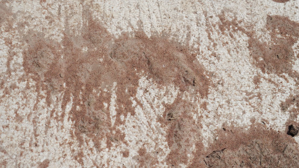 白色，纸张背景，纹理，石头，花岗岩，图案，软木，岩石图片下载