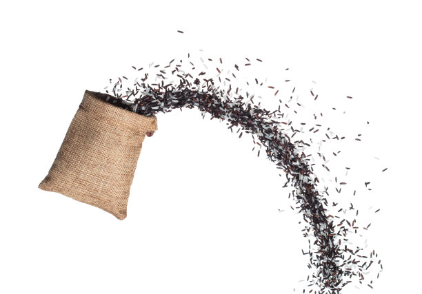 米莓混合米爆炸飞袋袋，黑紫色的浆果粒波浪漂浮，落在空中。米莓混合袋装白米是有机健康食品。白色背景隔离图片下载
