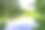 美丽的草沼泽芦苇生长在岸边水库在农村图片下载