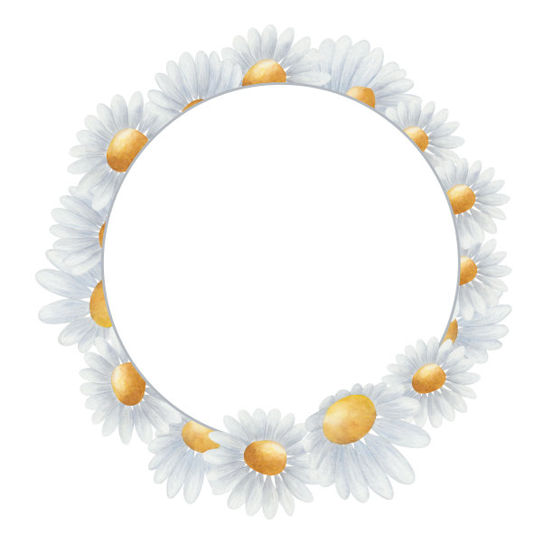 水彩插图。手绘花卉框架与甘菊。蓝色和黄色的雏菊盛开。空白模板与嫩花图片下载